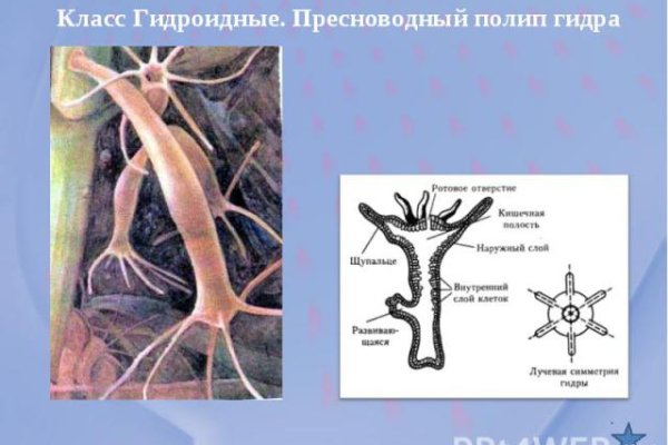 Как найти ссылку на кракен