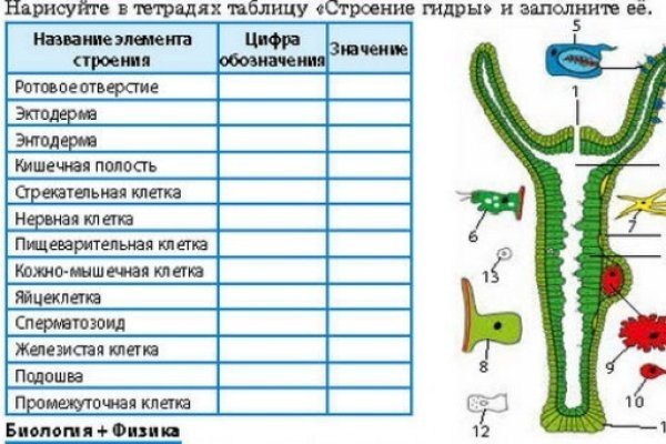 Кракен лег